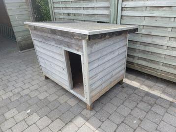 Hok voor kippen of konijnen, Ophalen, Gebruikt, 60 tot 90 cm, Cavia