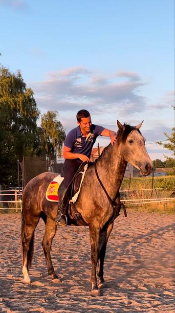 Super lieve respectvolle ruin 1m68. beschikbaar voor biedingen