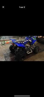 Yamaha 660 raptor, Motoren
