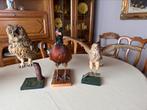 Set van 3 opgezette vogels, Verzamelen, Ophalen, Zo goed als nieuw