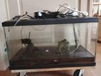 Aquarium 60 L, Animaux & Accessoires, Enlèvement, Utilisé, Aquarium vide