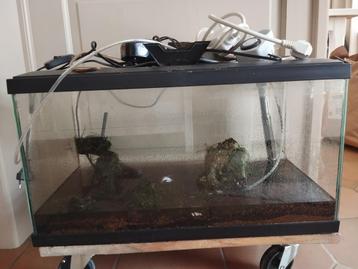 Aquarium 60 L disponible aux enchères