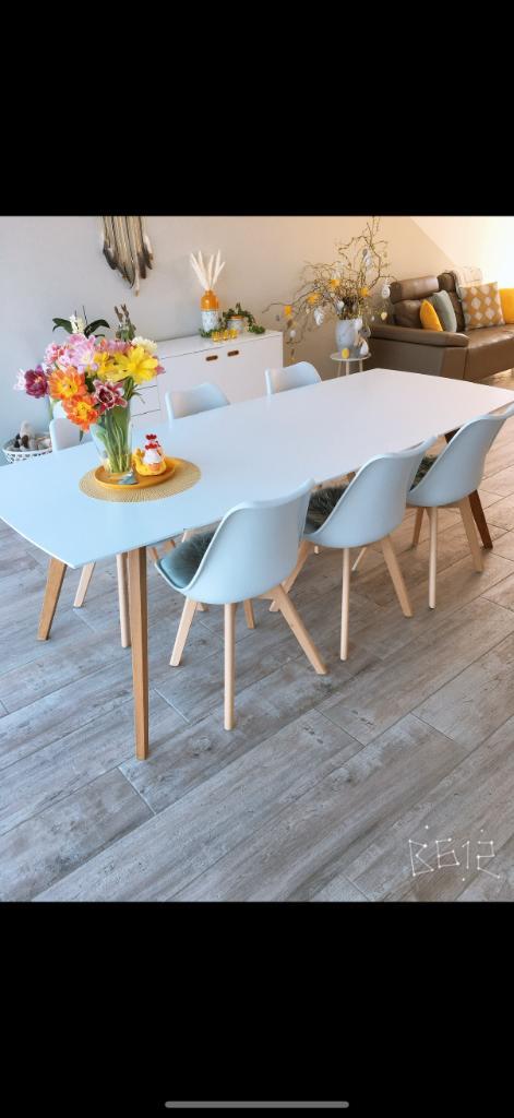 Eettafel 8 personen, Huis en Inrichting, Tafels | Eettafels, Gebruikt, 50 tot 100 cm, 200 cm of meer, Vijf personen of meer, Rechthoekig