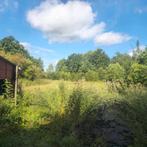 Prachtig weiland met mini voedselbos en off-grid systeem, Immo
