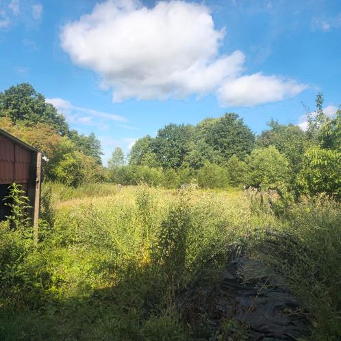 Prachtig weiland met mini voedselbos en off-grid systeem, Immo, Gronden en Bouwgronden