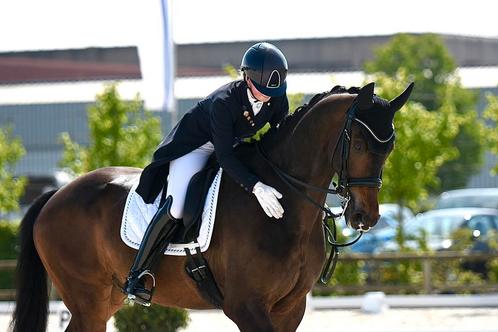 Dressuurles aangeboden, Dieren en Toebehoren, Pony's