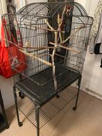 Grote vogelkooi voor kanarie of parkieten, Ophalen, Gebruikt, Vogelkooi