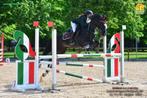 Opzoek naar een pony/paard, Dieren en Toebehoren, Recreatiepaard, Onbeleerd, Merrie, 7 tot 10 jaar