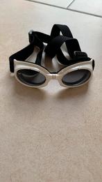 Lunette  chien, Dieren en Toebehoren, Ophalen, Gebruikt
