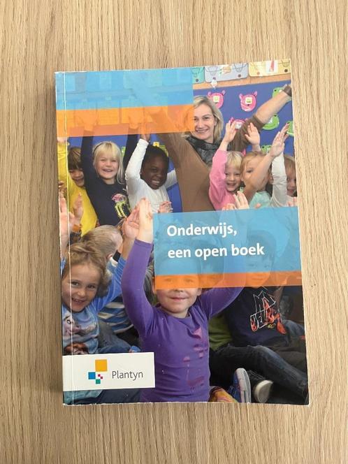 Onderwijs, een open boek - Hilde Lesage, Frieda Minne, Koen, Boeken, Studieboeken en Cursussen, Gelezen, Hoger Onderwijs, Ophalen of Verzenden