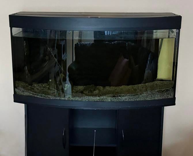 Juwel vision 260 aquarium +EHEIM Ecco Pro filter- set, Dieren en Toebehoren, Vissen | Aquaria en Toebehoren, Zo goed als nieuw