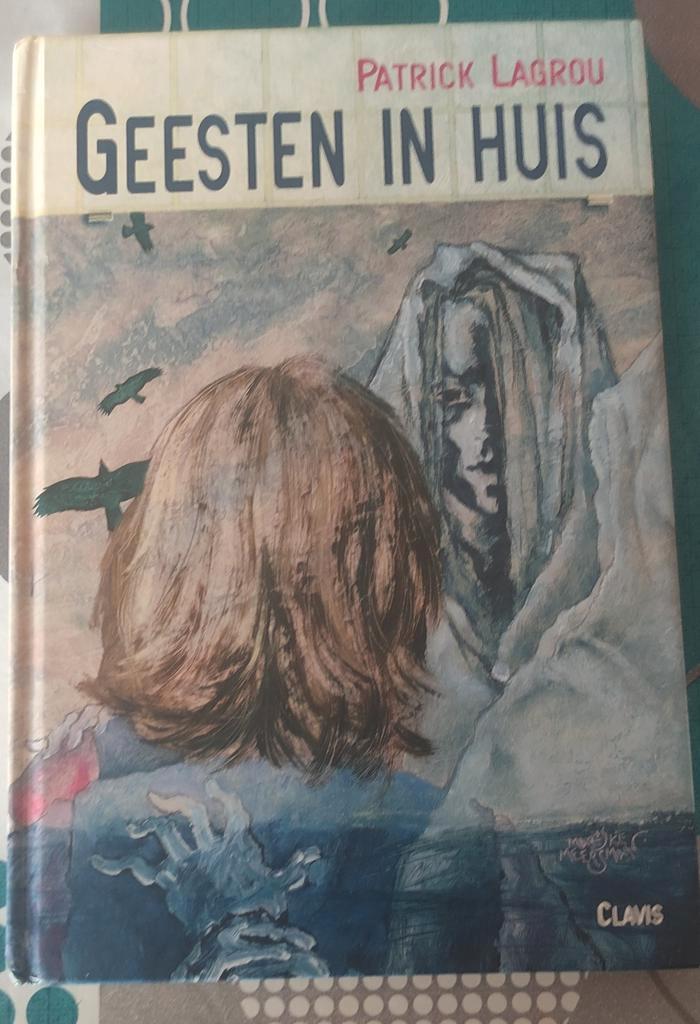 Patrick Lagrou Geesten in huis hardcover, Boeken, Kinderboeken | Jeugd | 13 jaar en ouder, Gelezen, Ophalen of Verzenden