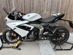 Triumph DAYTONA 660, Motorrijbewijs A, 660 cc, 3 cilinders, Meer dan 35 kW
