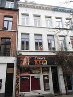 Opbrengsteigendom te koop in Antwerpen, 3 slpks, 290 m², 3 pièces, 171 kWh/m²/an, Maison individuelle