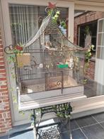 Vogelkooi, Ophalen, Zo goed als nieuw, Metaal, Vogelkooi
