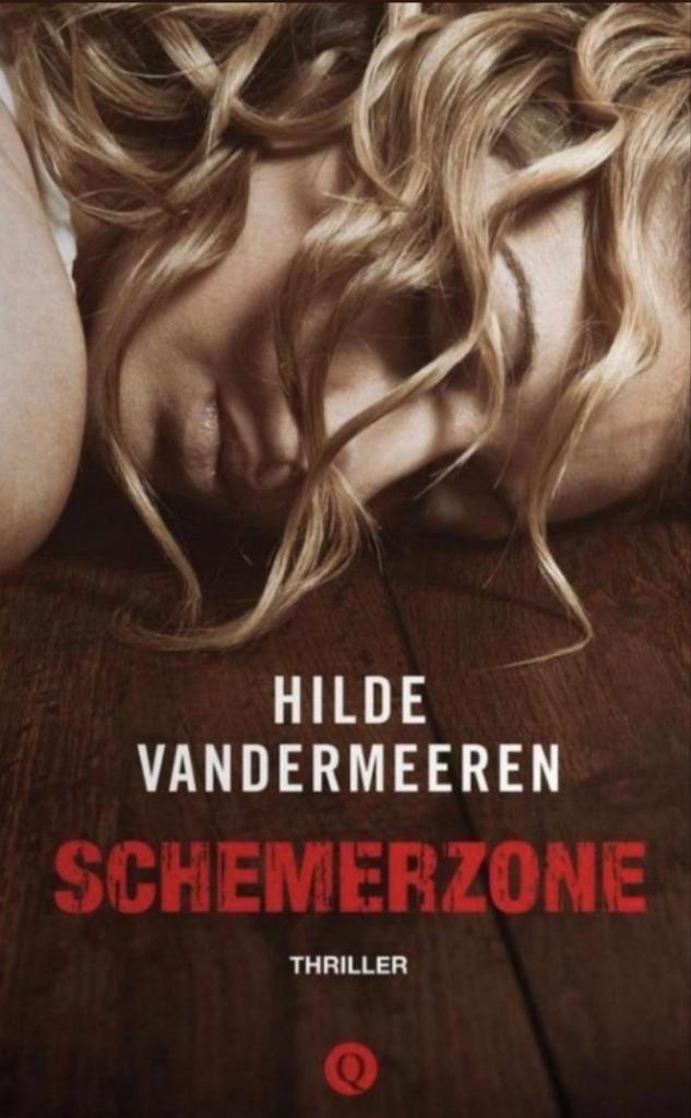 Boek- Schemerzone - Hilde Vandermeren, Boeken, Thrillers, Ophalen of Verzenden