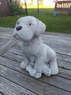 hondje met been, Ophalen of Verzenden, Nieuw, Beton, Dierenbeeld