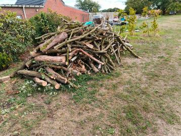 Brandhout eik,es,berk,kers beschikbaar voor biedingen