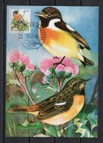 Année 1990 : Carte maximum 2397 - Oiseaux - Traquet pâtre -, Enlèvement ou Envoi