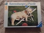 Puzzel 500 stuks Golden Retriever puppy (Ravensburger), Enlèvement, Comme neuf, Puzzle