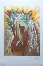 SALVADOR DALI / CHEVAUX DE DALI / KLEURLITHO / 56x36cm 1983, Antiek en Kunst, Kunst | Litho's en Zeefdrukken, Ophalen of Verzenden