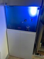 Aquarium 200 litres à vendre, Enlèvement, Comme neuf