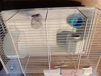 Cage à hamster  15 euros, Comme neuf, 75 à 110 cm, Enlèvement, Cage