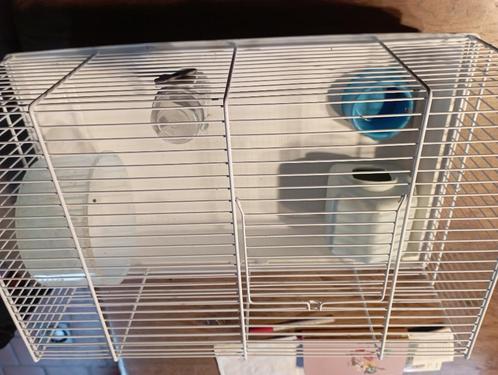 Cage à hamster  15 euros, Animaux & Accessoires, Rongeurs & Lapins | Cages & Clapiers, Comme neuf, Cage, Moins de 60 cm, 75 à 110 cm
