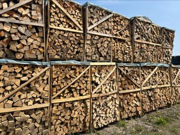 BEUKEN BRANDHOUT TE KOOP DROOG beschikbaar voor biedingen