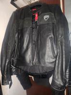 Veste Ducati, Motos