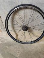 Roue vélo derrière, Vélos & Vélomoteurs, Enlèvement, Utilisé, Vélo de course, Roue