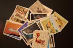 Panini. 20 tal. Le monde des animaux., Boeken, Prentenboeken en Plaatjesalbums, Ophalen of Verzenden