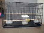 Vogelkooi volière, Dieren en Toebehoren, Vogels | Hokken en Kooien, Ophalen of Verzenden, Zo goed als nieuw, Vogelkooi