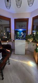 Aquarium AQUALIFE, Ophalen