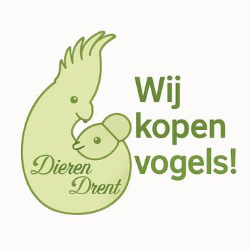 Wij kopen kanaries, Dieren en Toebehoren