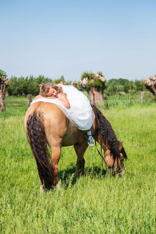 Gouden Kinderpony met veulen, Dieren en Toebehoren, Pony's, Merrie, L, D pony (1.37m tot 1.48m), Recreatiepony, 11 jaar of ouder