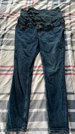 Pregnancy jeans, Large EU, Nieuw, Orchestra, Blauw, Maat 42/44 (L)