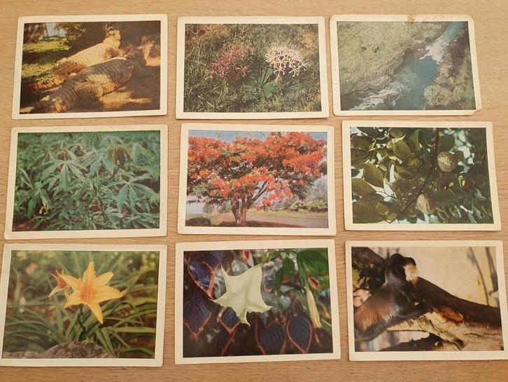 Groot lot Côte d'Or prenten Faunaflor, Collections, Photos & Gravures, Utilisé, Gravure, Nature, 1960 à 1980, Enlèvement ou Envoi