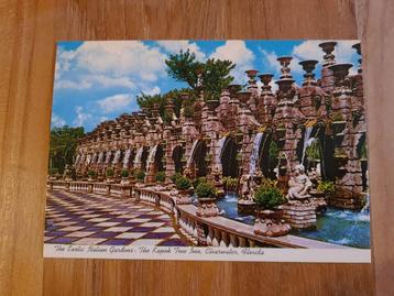 Carte postale Kapok Tree Inn Floride USA 