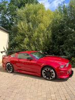 Mustang race car, Auto's, Particulier, Mustang, 6 cilinders, Te koop