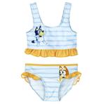 Bluey Bikini - Maat 92 - 98 - 104, Enfants & Bébés, Maillots de bain pour enfants, Neuf, Enlèvement ou Envoi, Bluey, Taille 104