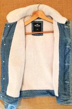 ,Hollister jack, Ophalen of Verzenden, Nieuw, Overige maten, Jack