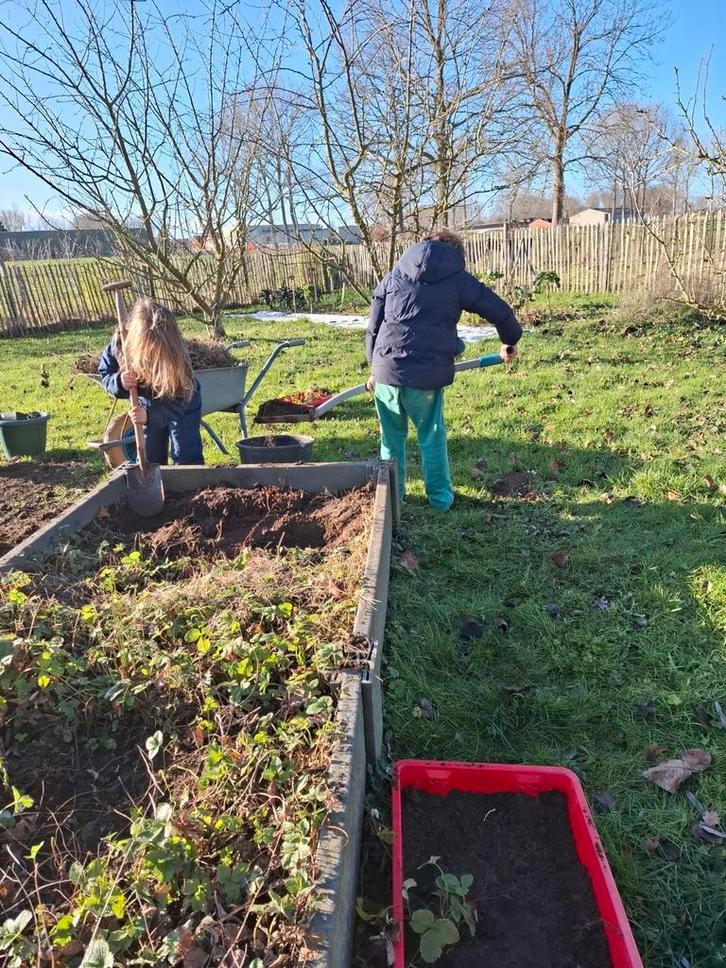 Moestuinbakken kunsstof, Tuin en Terras, Kweekspullen, Ophalen