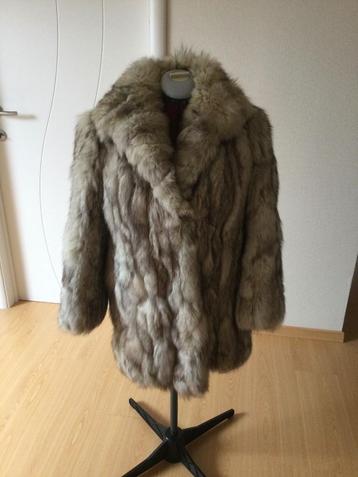 Manteau en renard argenté  beschikbaar voor biedingen