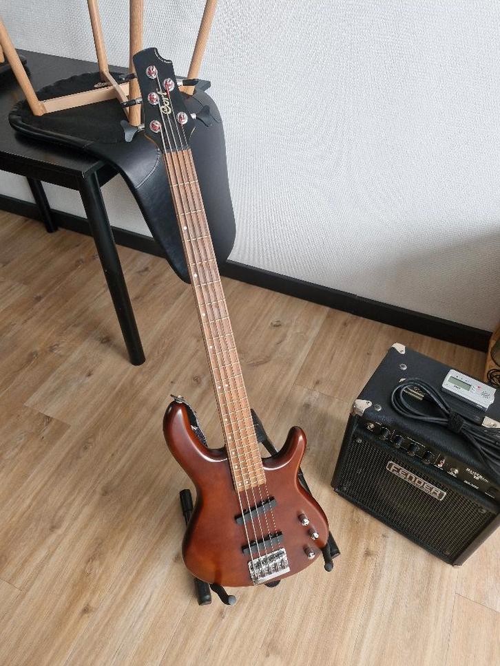 Cort V Bass, Musique & Instruments, Instruments à corde | Guitares | Basses, Comme neuf, Électrique, 5 cordes, Enlèvement