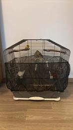 Complete Kanarie Set, Dieren en Toebehoren, Ophalen, Gebruikt, Vogelkooi