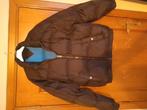Veste hiver Tommy Hilfiger XL (État neuf), Enlèvement, Comme neuf