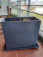 Planter, Ophalen, Kunststof, Gebruikt, Minder dan 60 cm