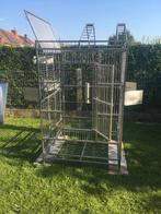 Grande cage pour perroquet, Animaux & Accessoires, Oiseaux | Cages & Volières, Comme neuf, Enlèvement