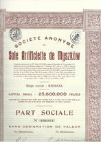 Soie Artificielle de Myszkow - Renaix, 1920 à 1950, Action, Enlèvement ou Envoi